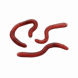 Lombriz Artificial roja 20pz